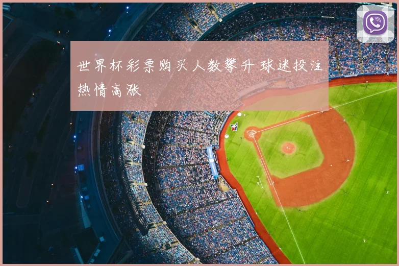 世界杯彩票购买人数攀升 球迷投注热情高涨